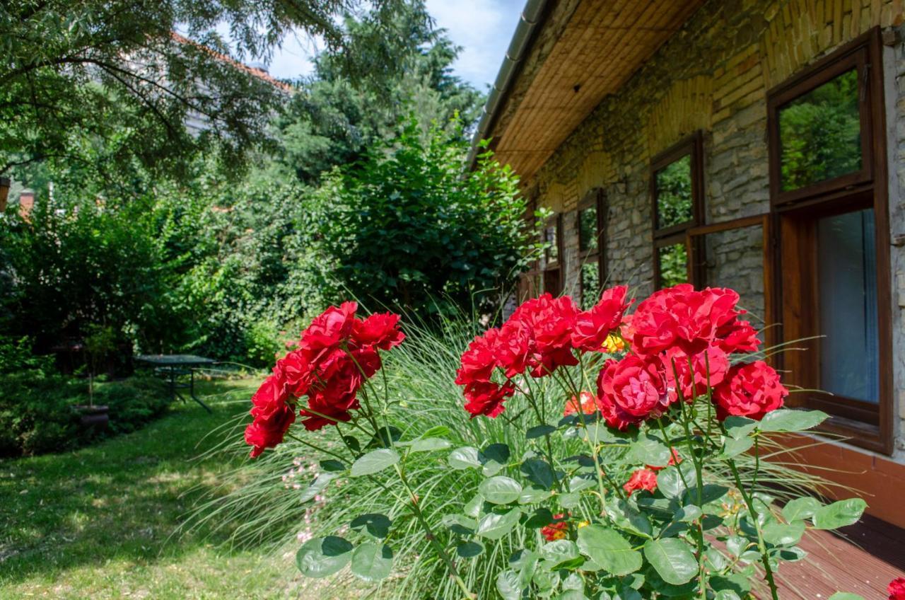 Kohaz Apartman Apartment Veszprém Exterior foto